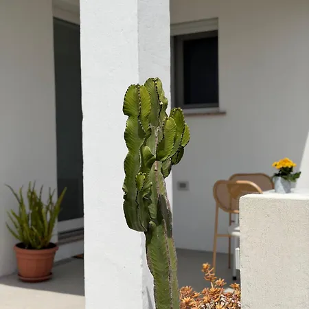 Sa Figu E Sa Nespula Appartement